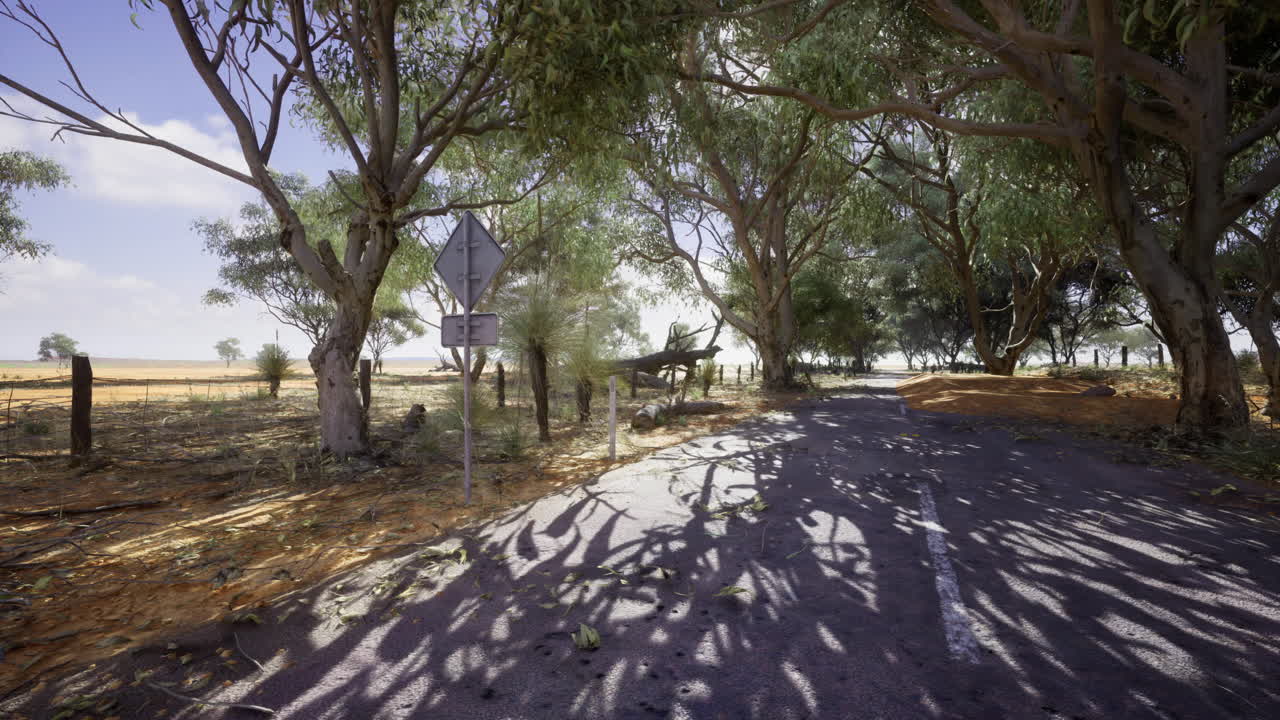 Rural road surrounded by trees on a sunny day in an open landscape