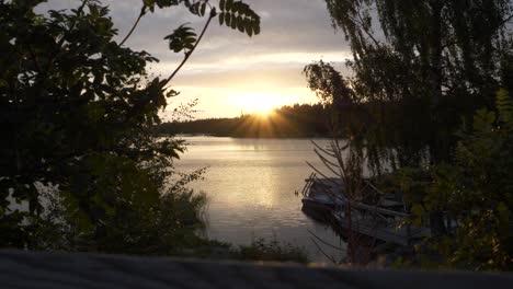 sunbeams and sunset on horizon seen between trees and plants of a bay