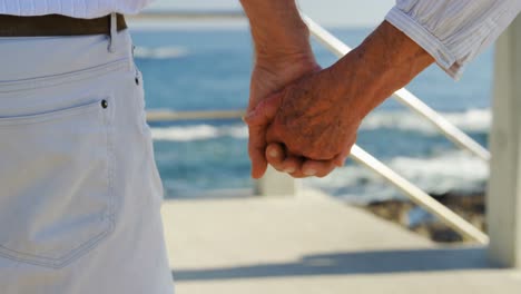 senior couple standing at promenade 4k