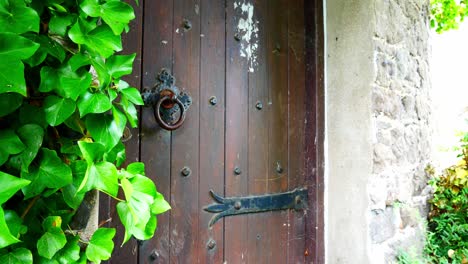 heavy old wooden medieval door entrance rustic ornate metal decoration covered ivy foliage closeup