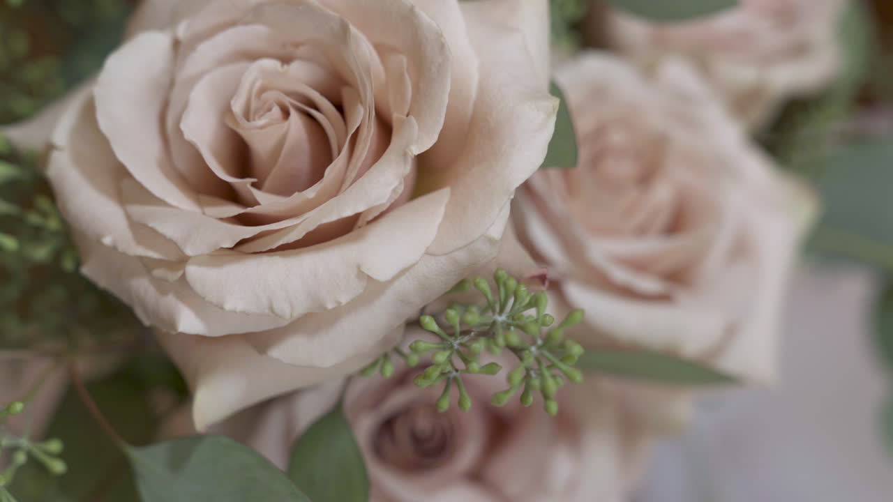 la luz pasa por las rosas blancas en la boda