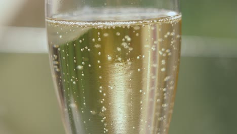 close-up of sparkling champagne bubbles in a glass