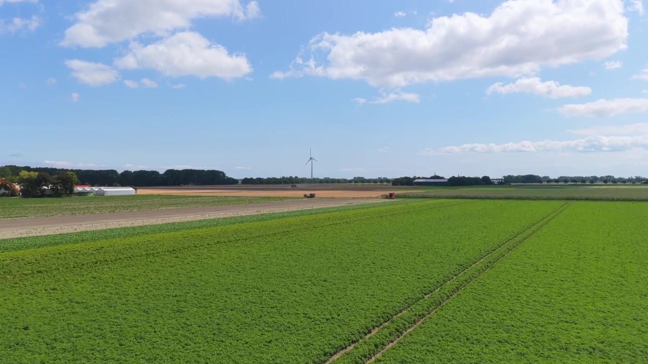 Landwirtschaftlicher Traktor erntet Feldfrüchte auf einem weiten Feld.