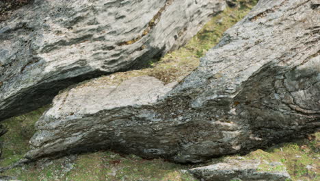 cerca de la formación de piedras rocosas