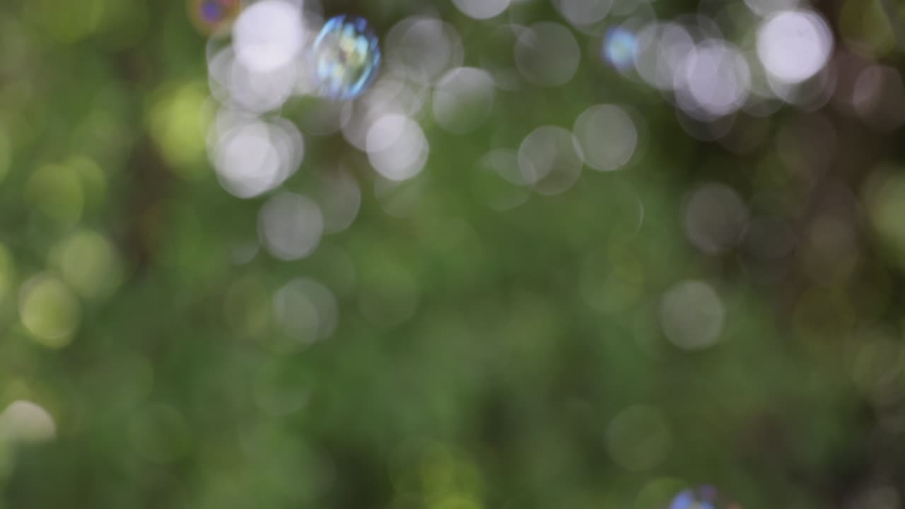 초록색 나무 배경으로 공중에서 날아다니는 4k 슬로 모션 비누 거품.