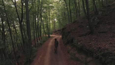 silueta de una persona caminando en un denso bosque, vista aérea hacia atrás