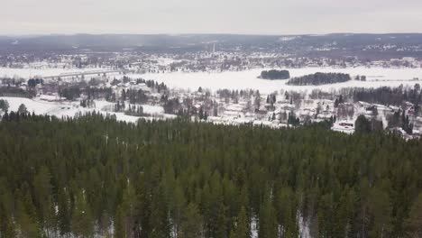 vistas invernales desde la colina ounasvaara en rovaniemi-2