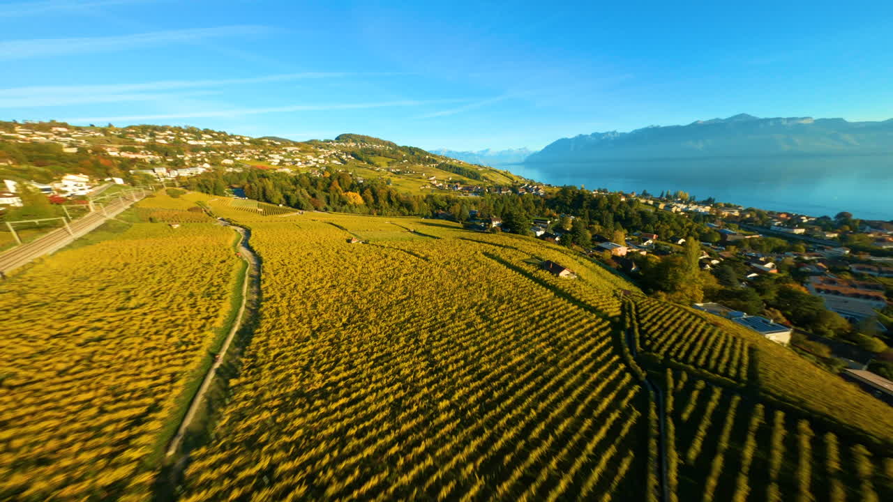 Drone in discesa che si avvicina ai vigneti di Lavaux dai colori autunnali, vicino alla città di Lutry in Svizzera.