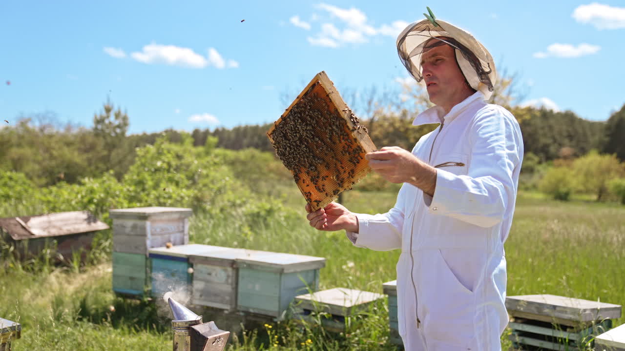 Man in special outfit holding a frame in front of him and looking carefully at it. Beekeeper commenting what he sees. Summer nature backdrop.