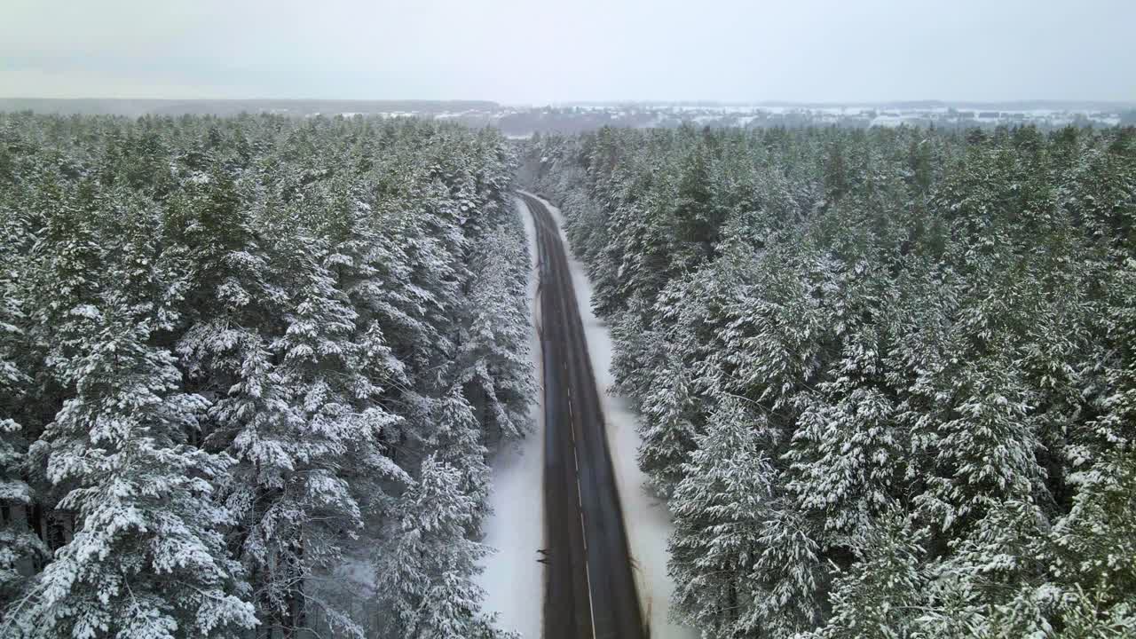 흐린 서리가 내린 겨울날 눈 덮인 숲 소나무로 둘러싸인 좁은 아스팔트 도로의 드론 샷