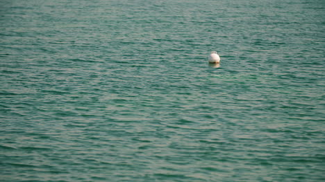 buoy on the surface of the sea