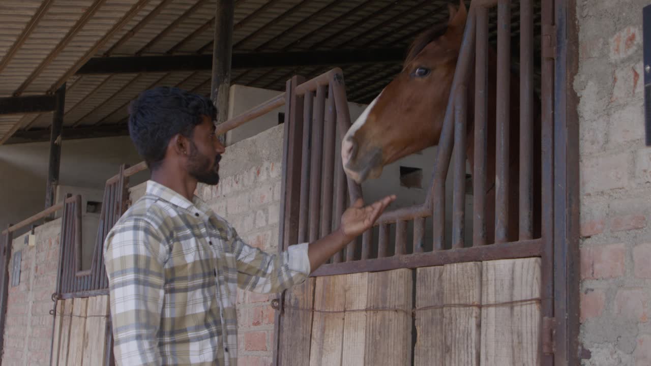 A slow-motion of a South Asian man standing in a stable touching a horse behind