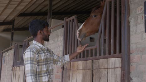 a slow-motion of a south asian man standing in a stable touching a horse behind