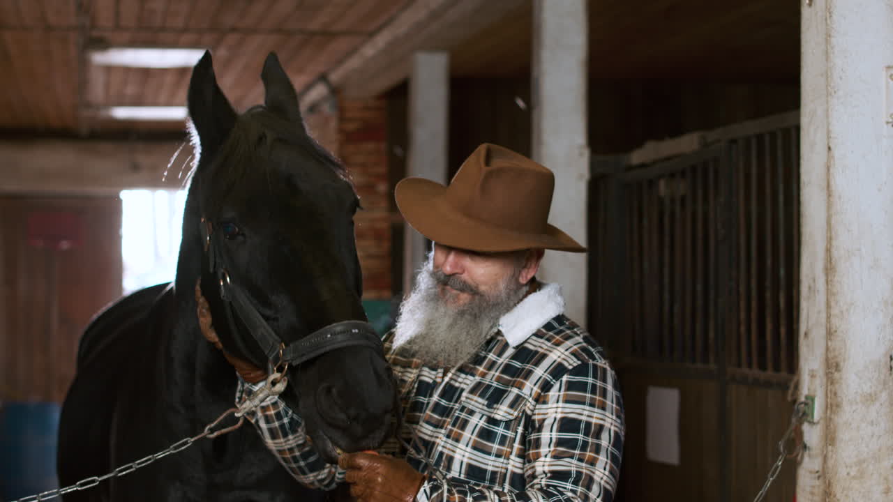 실내에서 동물을 돌보는 사람 클로즈업