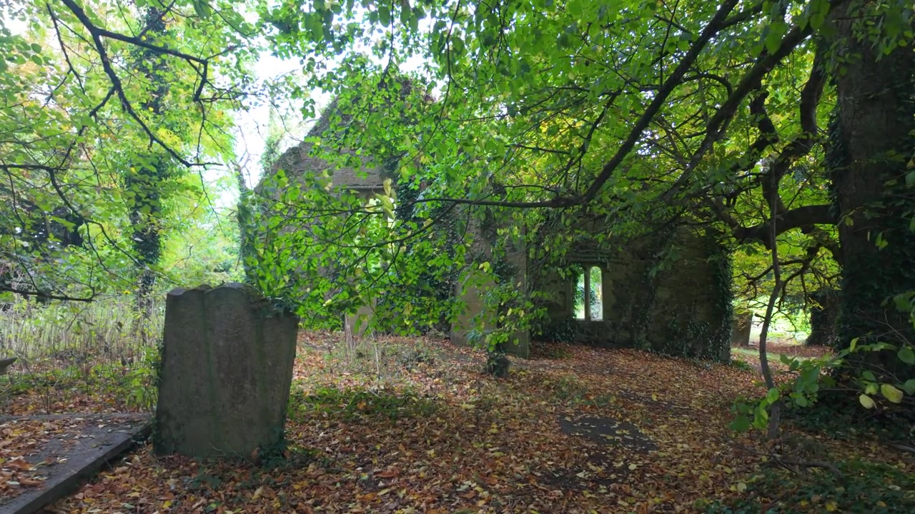 Chiesa in rovina spettrale nel profondo della foresta, Irlanda infestata in autunno, luoghi mistici
