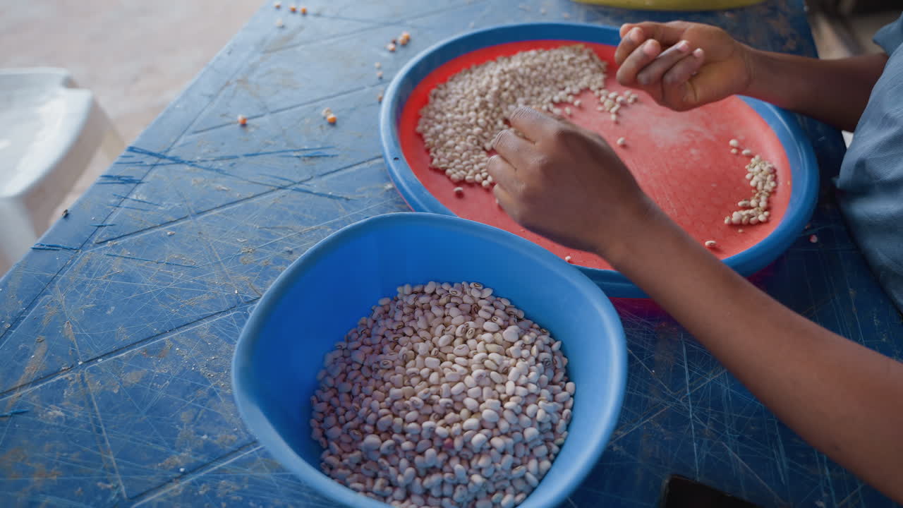 Person cleaning beans on countertop diligently. Vendor carefully selecting and cleaning beans for sale. Hands meticulously inspecting and removing debris from beans before food preparation for sale