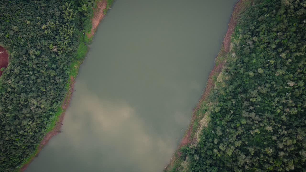 vuelo aéreo de arriba hacia abajo sobre el río iguazú con vegetación rodeado de una densa selva amazónica bajo el sol