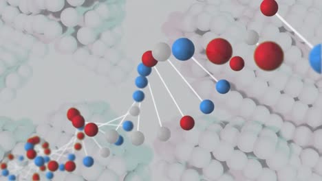 DNA-structure-spinning-against-spheres-on-white-background