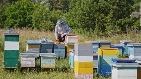 beekeeper holding frame with honey bees. beekeeper in protective workwear inspecting honeycomb frame at apiary