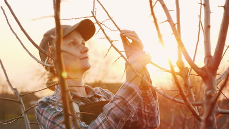 Eine-Junge-Frau-Arbeitet-Bei-Sonnenuntergang-In-Ihrem-Garten-Und-Inspiziert-Junge-Triebe-Eines-Baumes