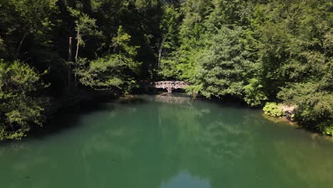 aerial drone wooded lake park on forest