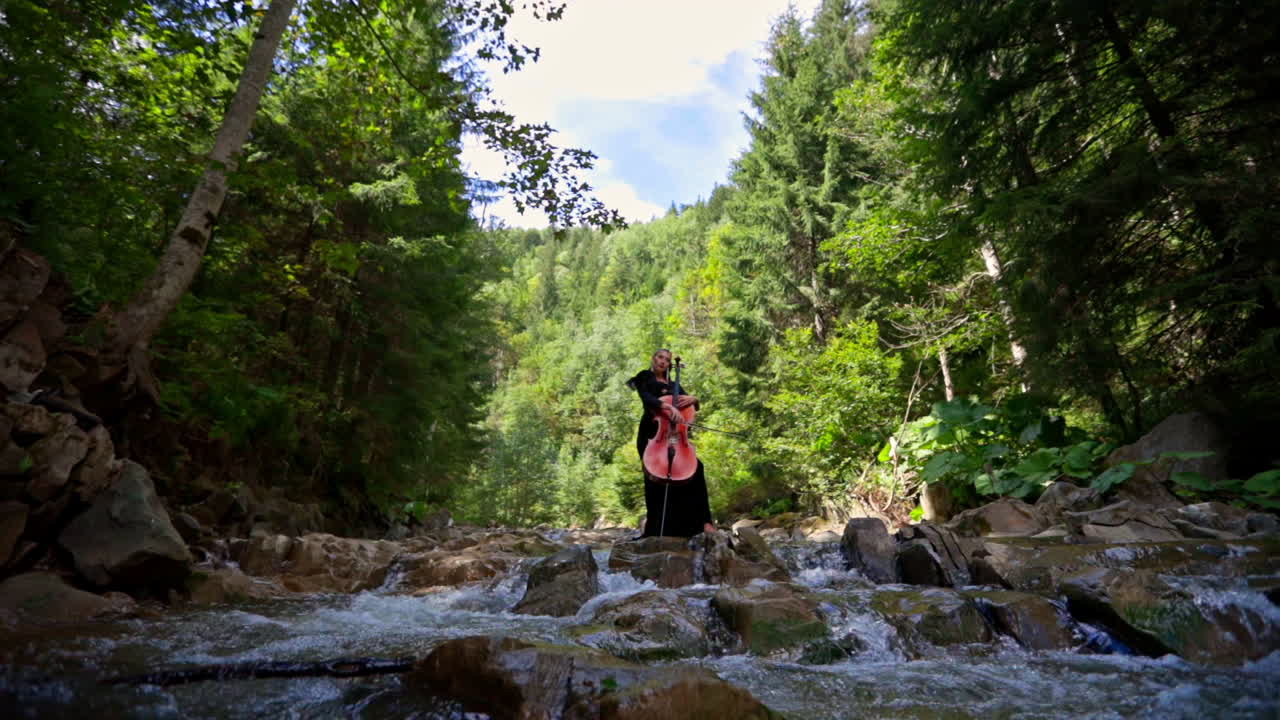 Girl playing cello outdoor. Young girl playing the cello on nature