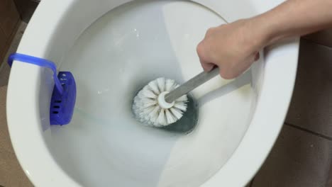 woman use brush for cleaning toilet bowl