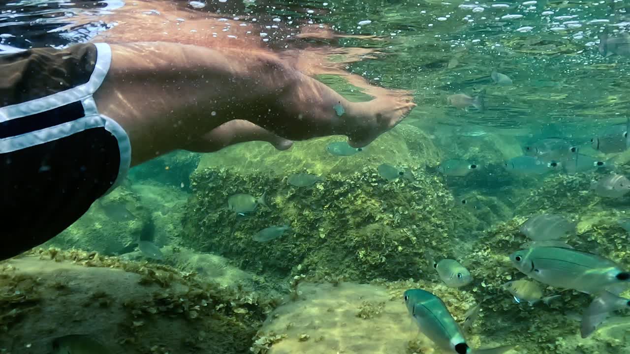 vista en perspectiva personal submarina de las piernas del hombre flotando en el agua del mar cardumen de peces nadando cerca de fondo en la isla lavezzi en córcega, francia