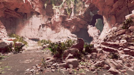 vista desde el interior de una cueva oscura con plantas verdes y luz en la salida