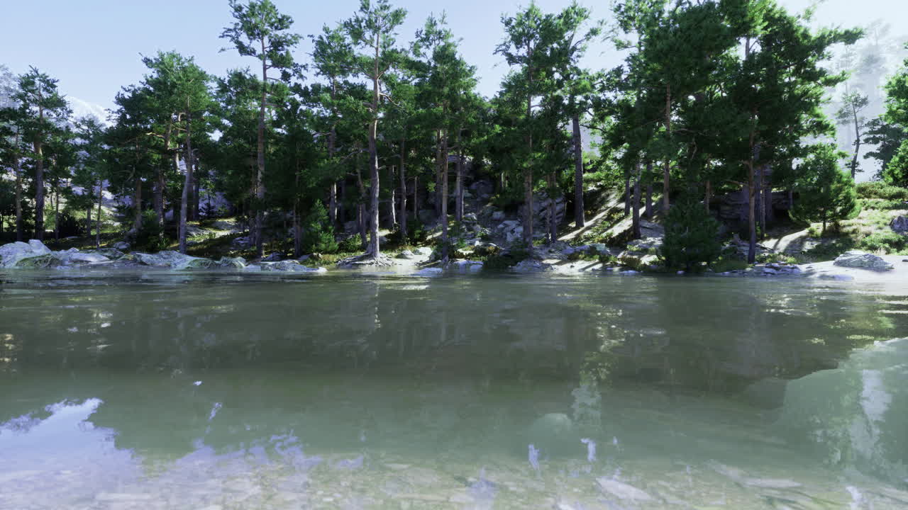 은 오후에 울창한 나무로 둘러싸인 평화로운 호수