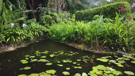 Gran-Estanque-De-Peces-Frescos-Y-Fértiles-Con-Nenúfares-Y-Flores-En-La-Superficie-En-Un-Hermoso-Jardín-Tailandés