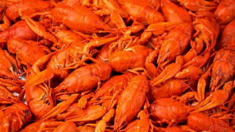 imágenes de cangrejo rojo cocido en primer plano girar en una bandeja