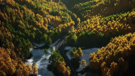 a winding road through a fall forest