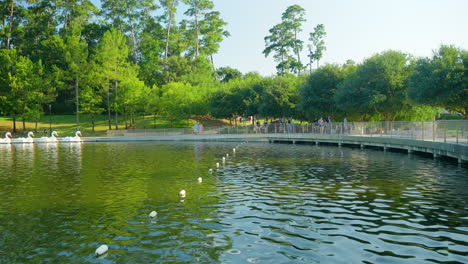 la vía fluvial en la ciudad de woodlands en texas