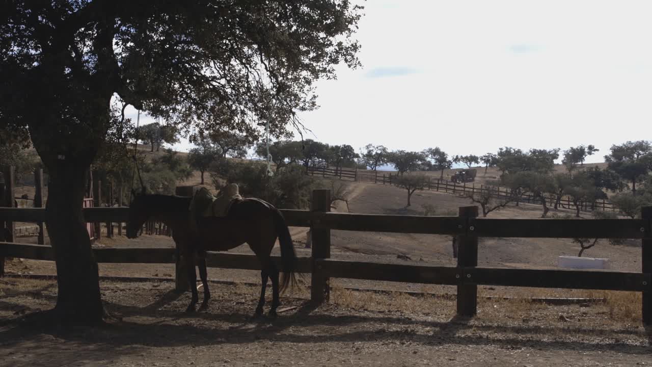 A horse standing next to a fence in front of a beautiful dehesa landscape.