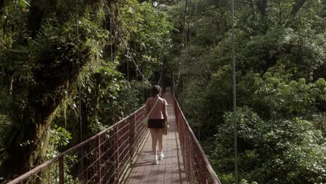 tilting down shot revealing a young woman walking on the red suspension bridge in monteverde cloud forest reserve. the bridge stretches through lush green foliage in a cloud forest on summer day