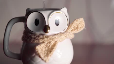 cute small macro owl mug closes eyes after pouring hot water moving shot to the right