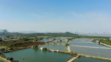 Mai-Po-Naturschutzgebiet-Und-Feuchtgebiete,-Hongkong,-Luftbild