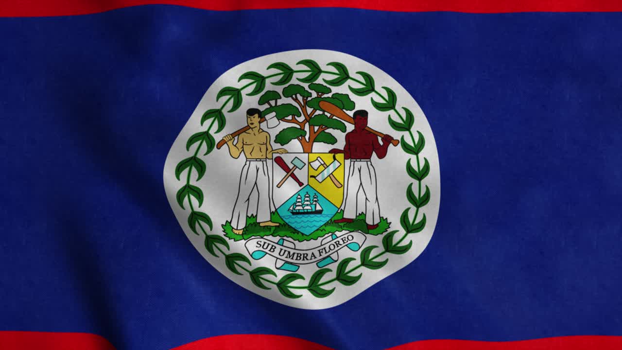 벨리즈의 발이 바람에 흔들리는 벨리즈의 원활한 루프 애니메이션