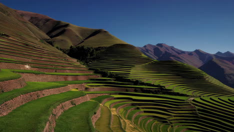andean farmer and terraced rice fields