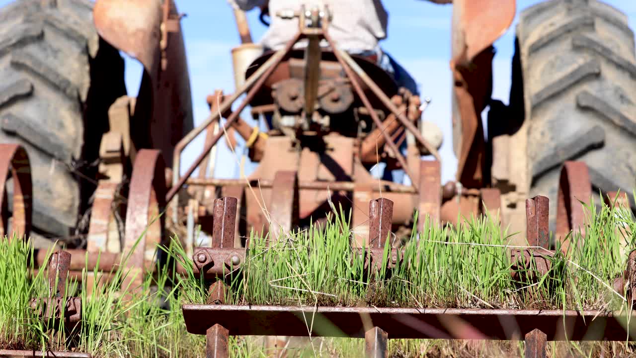 Harrowing Tractor in Overgrown Horse Pasture