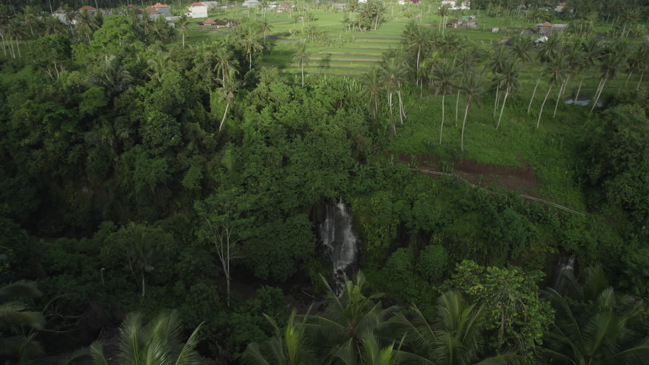 Aerial drone view of secret waterfall hidden between palm trees in the jungle near Ubud in Bali, Indonesia, fly backward