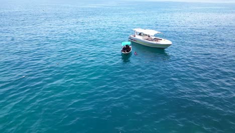 Ataque-De-Tiburón-Alimentado-Desde-Un-Barco-Mientras-Nadaba