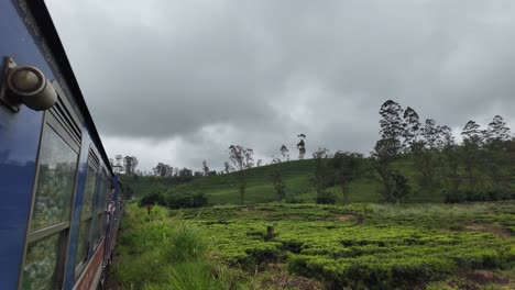 pov of sri lanka from a train journey, passing vibrant green tea plantations under cloudy skies. a captivating blend of travel and nature in a serene landscape.