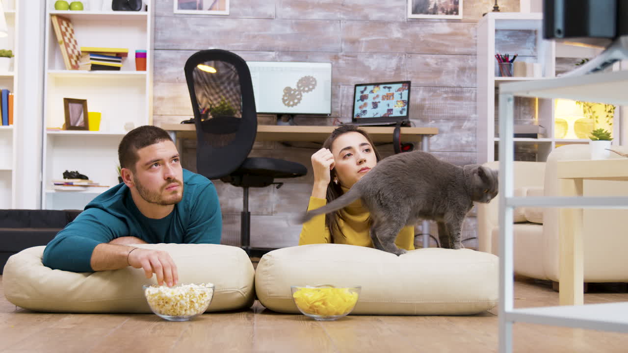 Couple Watching TV at Home with Their Cat