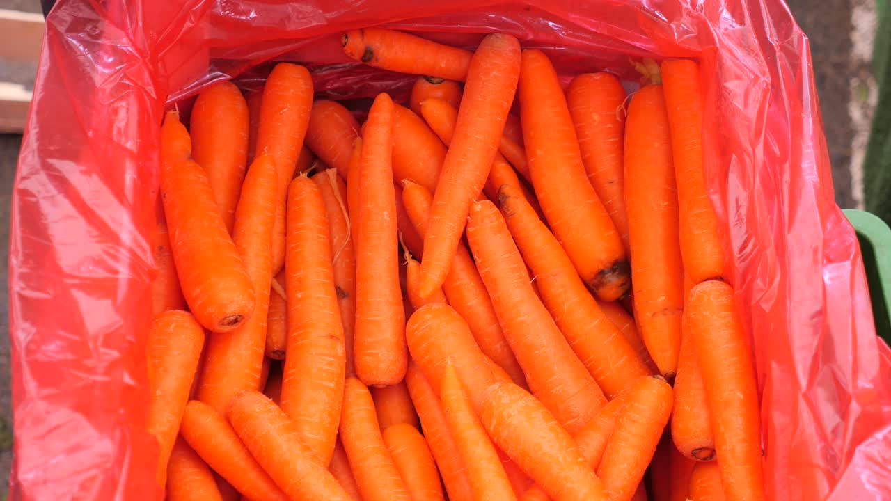 zanahorias frescas en una bolsa roja