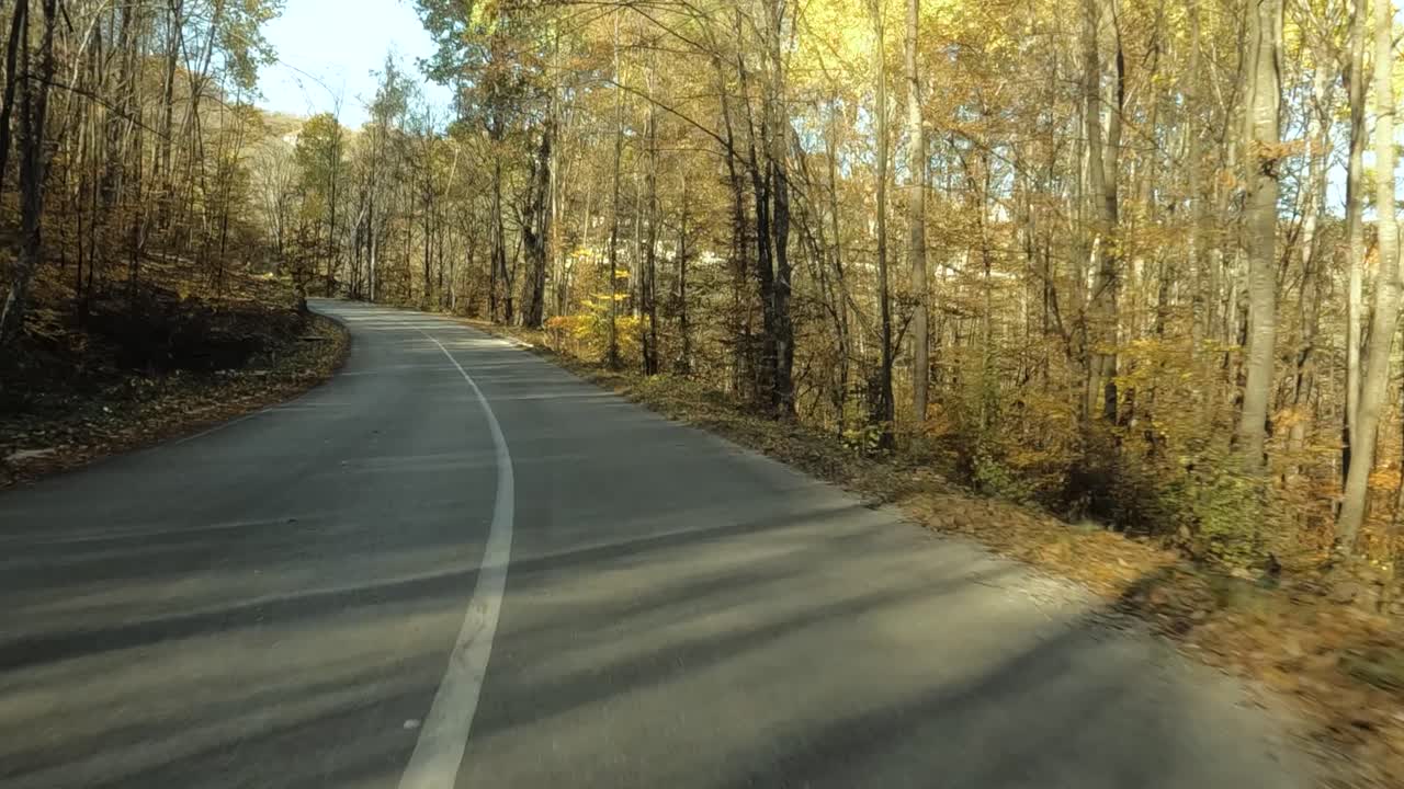 Driving in Forest on Countryside Road on Sunny Autumn Day, Driver's POV 60fps