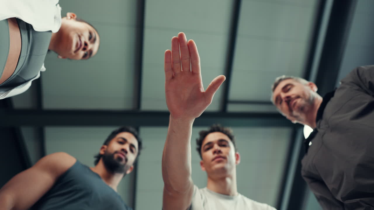 팀 하이 파이브