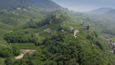 valdobbiadene  veneto italy green hills with terraced vineyards