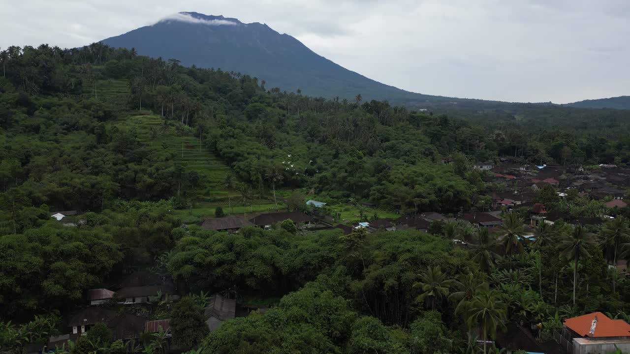 aves en bandadas que se mueven cerca del volcán mount agung en bali, indonesia